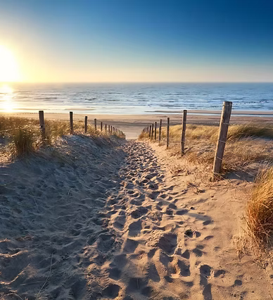 strand terschelling helmhoeve